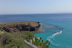 LUDiCa_2023_57
