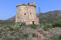 LUDiCa_2023_59