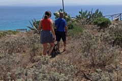 LUDiCa_2023_61